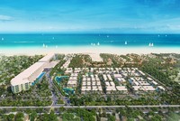 Bamboo Capital (BCG): Chủ tịch HĐQT tiếp tục đăng ký mua 1 triệu cổ phiếu