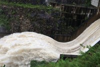 Sau 2 lần thất bại, Sông Đà Hoàng Long đã bán được hơn 4,1 triệu cổ phiếu NED