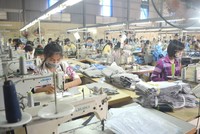 Cổ phiếu MPT của Tập đoàn Trường Tiến hủy niêm yết từ ngày 25/5