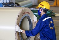 Hoa Sen (HSG) ước lãi quý IV niên độ tài chính 2019-2020 gấp 4,8 lần cùng kỳ