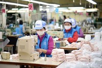 Có tới 31% doanh nghiệp có lợi nhuận sụt giảm mạnh trong nửa đầu năm 2020