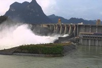 Thuỷ điện Đa Nhim - Hàm Thuận - Đa Mi (DNH) dự chi gần 507 tỷ đồng tạm ứng cổ tức 2024 dù lợi nhuận 9 tháng giảm 48% 