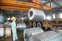 Tập đoàn Thành Nam (TNI): Giải trình lợi nhuận quý IV/2020 giảm tới hơn 80%