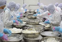 Kiên Hùng (KHS) chốt quyền tạm ứng cổ tức 12% bằng tiền