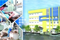 Nam Hoa (NHT) chốt quyền tạm ứng cổ tức 20% bằng tiền