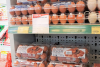 Trứng gà Hòa Phát tại siêu thị