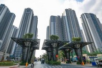 TNS Holdings (TN1) chốt quyền chia cổ tức 30%