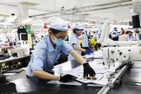 Vinatex (VGT) chi 250 tỷ đồng để chia cổ tức năm 2021