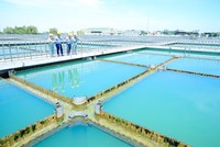 CTCP Cấp nước Đồng Nai (DNW) đặt kế hoạch 2025 thận trọng, lợi nhuận dự kiến giảm 22%