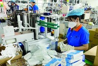 BCI: Những tín hiệu tăng trưởng tích cực khi Việt Nam bắt đầu mở cửa trở lại