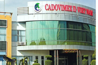 Cadovimex (CAD) bị phạt 70 triệu đồng do vi phạm công bố thông tin