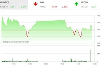 Giao dịch chứng khoán phiên chiều 19/1: Sắc tím đã bừng lên chào Tết