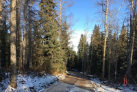 Tấm lót đường của BMW Mai Châu sử dụng tại Canada