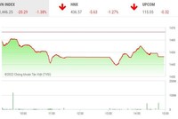 Giao dịch chứng khoán chiều 14/3: VN-Index bốc hơi hơn 20 điểm, nhóm phân bón và vận tải biển la liệt sàn