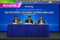 ĐHĐCĐ SHE: Nâng tỷ lệ chia cổ tức lên 20% bằng cổ phiếu, chưa chuyển sàn niêm yết