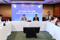 Mobile-Money, mảnh đất cằn cỗi, sỏi đá các doanh nghiệp viễn thông đang cày cuốc