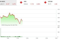 Giao dịch chứng khoán sáng 13/6: VN-Index bốc hơi hơn 40 điểm, nhóm cổ phiếu điện vẫn ngược dòng