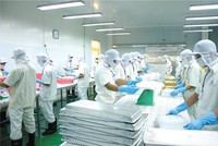 Thuỷ sản Cửu Long An Giang (ACL): Anh trai Chủ tịch đăng ký bán hết nửa triệu cổ phiếu