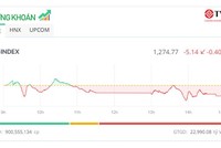 Bluechip tiếp tục “ép” thị trường, đột biến cổ phiếu HSG