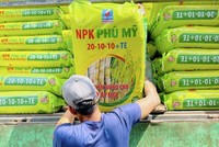 DPM: Ngày GDKHQ nhận cổ tức bằng tiền năm 2023 (20%)