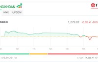 Cổ phiếu ngân hàng, chứng khoán “níu chân” thị trường