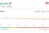 Áp lực T+ khiến VN-Index mất gần 10 điểm, cổ phiếu QCG bị bán tháo