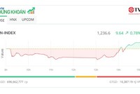 Phiên giao dịch chiều 2/8: Cổ phiếu chứng khoán nổi sóng, VN-Index hồi phục gần 30 điểm từ đáy
