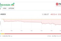 Lệnh bán tháo kích hoạt, VN-Index bốc hơi gần 50 điểm trong phiên 5/8