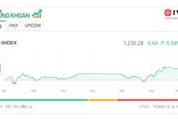 Tiền vẫn tập trung ở nhóm bluechip, VN-Index lấy lại mốc 1.230 điểm