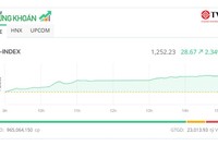 Sắc tím “nở rộ”, VN-Index “bay” qua mốc 1.250 điểm