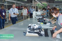 May Sông Hồng (MSH) đón đầu chu kỳ hồi phục ngành