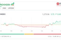 Thị trường phân hóa, bluechip giúp VN-Index tăng điểm