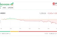 Thị trường chìm trong sắc đỏ, VN-Index về mức thấp nhất 1 tháng