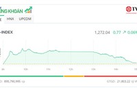 Chứng khoán giảm mạnh cuối phiên, Bluechip “cứu” thị trường không mất điểm