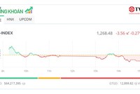 Thị trường điều chỉnh nhẹ, cổ phiếu ITA bị bán tháo