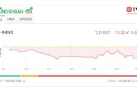 VN-Index mất mốc 1.220 điểm, cổ phiếu VTP "tím lịm"
