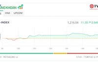 Thị trường tăng điểm, "họ" Viettel ngược dòng giảm mạnh