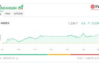 Cổ phiếu điện nổi sóng