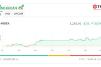 Cổ phiếu FPT lập đỉnh mới, VN-Index thử thách thành công mốc 1.250 điểm