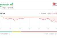 VN-Index lùi về mốc 1.240 điểm, cổ phiếu VTP "bốc đầu" lập đỉnh mới