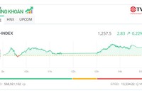 Thị trường "ru ngủ", cổ phiếu HVN bất ngờ bùng nổ
