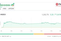 Thị trường lình xình, cổ phiếu nhựa và cao su tỏa sáng
