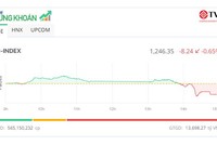 VN-Index thủng mốc 1.250 điểm, cổ phiếu VTP "tím ngắt"