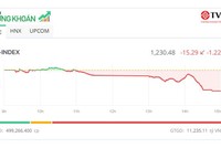 Sắc đỏ tràn ngập, VN-Index lùi về mốc 1.230 điểm