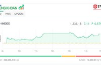 Dòng tiền chảy mạnh vào nhóm cổ phiếu đầu tư công