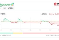 Cổ phiếu YEG nổi sóng cùng “Anh trai vượt ngàn chông gai” 