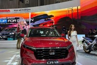 Doanh số xe du lịch trong tháng 1/2025 ghi nhận sụt giảm