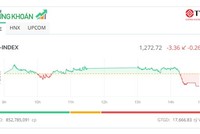 Bluechip “níu chân” thị trường, cổ phiếu vừa và nhỏ giao dịch bùng nổ