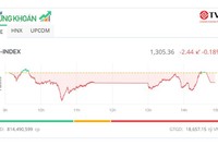 Thị trường điều chỉnh nhẹ, cổ phiếu bất động sản hút tiền 