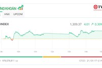 Nhóm cổ phiếu chứng khoán khởi sắc, VN-Index tiếp tục tiến bước